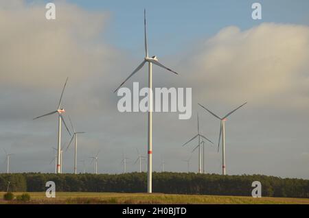 Windkraftanlage dans le Brandebourg, Allemagne Banque D'Images