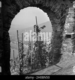 Blick über die Weinberge auf die Mosel bei Bernkastel durch einen Fensterbogen Burgruine Landshut Deutschland, der er Jahre 1930. Vue sur les vignes au bord de la Moselle, vue à travers une fenêtre, à la demeure de château Landshut près de Bernkastel, Allemagne 1930. Banque D'Images