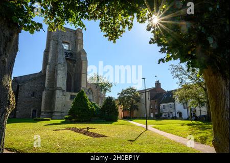 Le soleil brille à travers les feuilles d'arbres devant le vert de l'église Saint-Nicolas à North Walsham, Norfolk, Angleterre. Banque D'Images