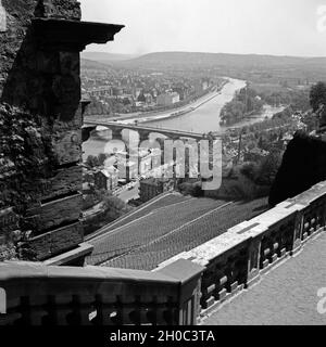 Blick von der Festung Marienberg auf Würzburg, Deutschland 1930 er Jahre. Vue depuis la forteresse de Marienberg vers le bas de la ville de Wuerzburg, Allemagne 1930. Banque D'Images