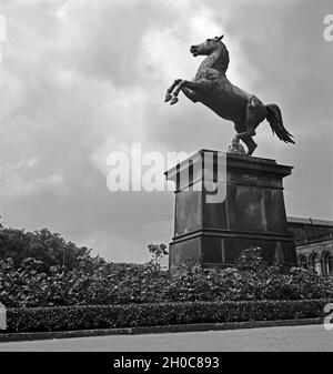 Das Pferd als von Wappentier springende Niedersachsen als Skulptur im Garten von Schloß bei Herrenhausen Hannover, Deutschland 1930er Jahre. L'augmentation du cheval, l'animal héraldique de Basse-Saxe, comme une sculpture dans le parc du château de Herrenhausen, près de Hanovre, Allemagne 1930. Banque D'Images