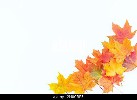 Feuilles d'automne sur fond blanc.Composition d'automne avec espace de copie. Banque D'Images