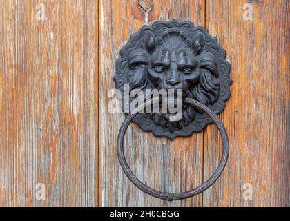Poignée décorative de loquet à anneau rond en métal montée sur une grille en bois.Porte en métal, anneau de bouton en forme de tête de lion, gros plan. Banque D'Images