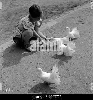 Ein kleines Mädchen füttert Tauben, Deutschland 1930 er Jahre. Une petite fille se nourrir les pigeons, Allemagne 1930. Banque D'Images