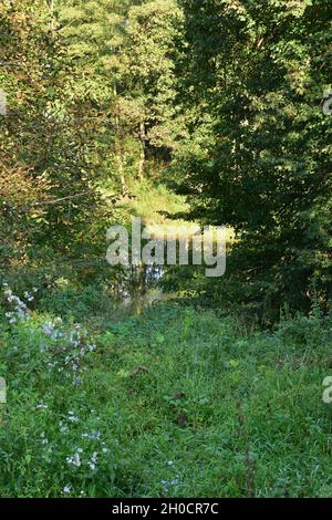 Lac Oxbow de la rivière lors d'une journée ensoleillée entre les arbres d'une colline. Banque D'Images