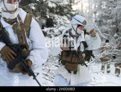 Les parachutistes de l'armée affectés à la Compagnie du quartier général et du quartier général, 1er Bataillon, 501e Régiment d'infanterie de parachutisme, 4e équipe de combat de la Brigade d'infanterie (Airborne), 25e division d'infanterie, armée américaine Alaska, effectuent une patrouille démontée en hiver à la base interarmées Elmendorf-Richardson, Alaska, le 27 janvier 2021.La formation a évalué les compétences des soldats de l’Arctique de multiples équipes de parachutistes 1 Geronimo afin de sélectionner le meilleur groupe à participer aux Jeux d’hiver de l’Arctique de l’USARAK de 2021. Banque D'Images