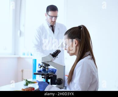 Deux scientifiques font des tests sur les légumes au microscope en laboratoire Banque D'Images