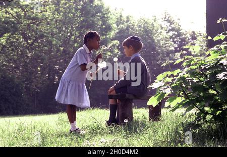Garçon et fille soufflant sur des fleurs de pissenlit Birmingham - Simone Estridge de six ans souffle des graines de pissenlit plus de sept ans Adam Gourevitch King David School Moseley Birmingham19 05 1997 Banque D'Images