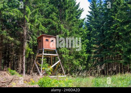 borgne de chasse en bois au bord de la forêt, près de la prairie Banque D'Images