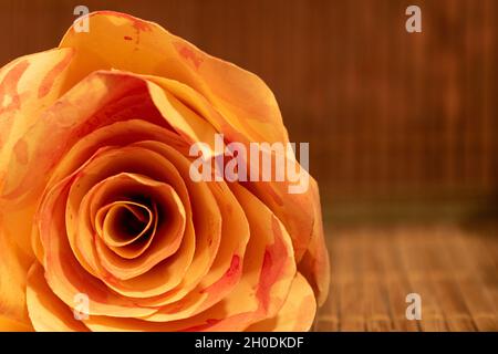 rose orange sur fond de bois, gros plan. concept romantique Banque D'Images