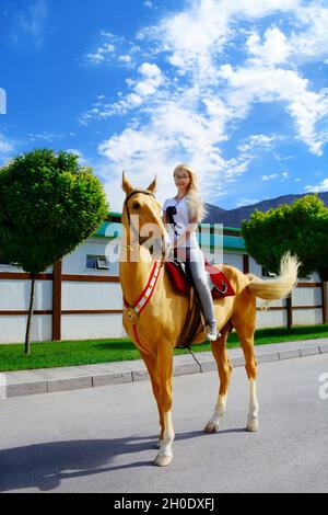 Fille à cheval doré ahal-teke Banque D'Images