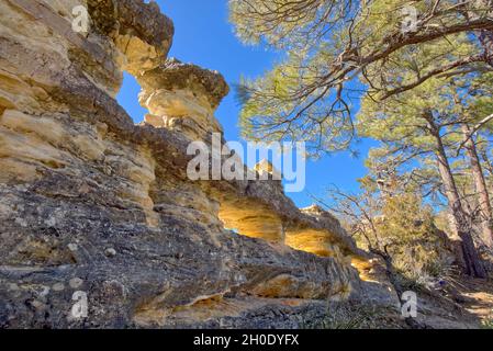 Une rangée d'arches naturelles le long de la piste téléphonique au nord de Sedona AZ a appelé les trous PEP. Banque D'Images