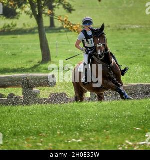 Essais de chevaux à Weston Park automne 2021 Banque D'Images