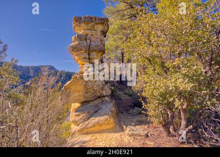 Le mur du récif le long de la piste téléphonique au nord de Sedona, en Arizona.Ce mur est l'emplacement des trous de la PEP.Les trous PEP sont de petites arches de roche dans le Banque D'Images