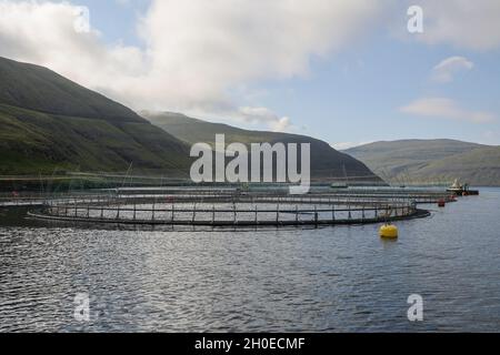 Élevage du saumon dans la baie de Vestmanna, l'île de Streymoy, les îles Féroé, la Scandinavie, l'Europe. Banque D'Images