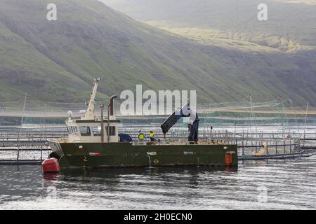 Élevage du saumon dans la baie de Vestmanna, l'île de Streymoy, les îles Féroé, la Scandinavie, l'Europe. Banque D'Images