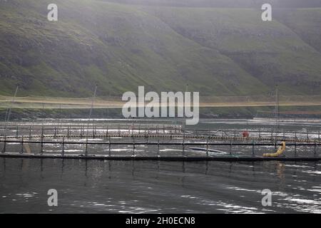 Élevage du saumon dans la baie de Vestmanna, l'île de Streymoy, les îles Féroé, la Scandinavie, l'Europe. Banque D'Images