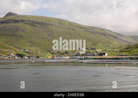 Élevage du saumon dans la baie de Vestmanna, île de Streymoy, îles Féroé, Europe Banque D'Images