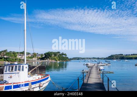 Le Minihic sur Rance (Bretagne, nord-ouest de la France) : maisons le long du front de mer à la Landriais, sur les rives de la Rance Banque D'Images