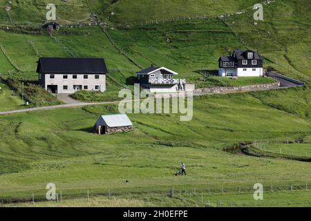 Homme coupant de l'herbe à Elduvik, l'île d'Eysturoy, les îles Féroé, Europein Banque D'Images