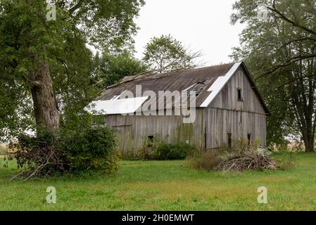 Une grange en bois abandonnée à Paragon, Indiana, entourée d'herbe verte et de grands arbres ombragés. Banque D'Images