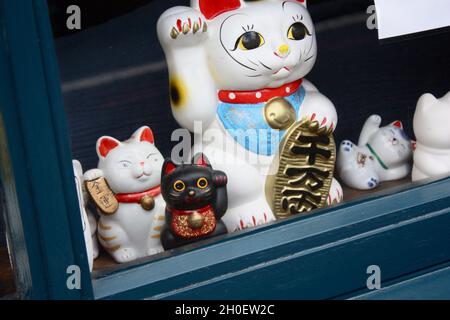 Chats chanceux dans la fenêtre du magasin. Banque D'Images