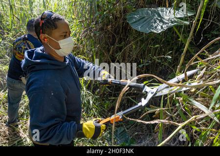 WHITE BEACH, Japon (fév20, 2021) le spécialiste culinaire en chef Shantelay Bolds, affecté au commandant, activités de la flotte Okinawa, élimine la croissance de la jungle pour dégager le chemin d'une tombe à bord de l'installation navale de White Beach de l'OAFC, Okinawa, Japon 20 février 2021.LA Marine AMÉRICAINE et un volontaire de la Force d'autodéfense maritime du Japon ont travaillé aux côtés du personnel du centre communautaire du district d'Uruma City Heshikiya dans le cadre du défrichement.Le défrichement sur le chemin de la tombe appelé « attaque de la jungle » est un projet de service communautaire mené régulièrement qui maintient l'accessibilité pour les anciens tombeaux familiaux de White Beach. Banque D'Images