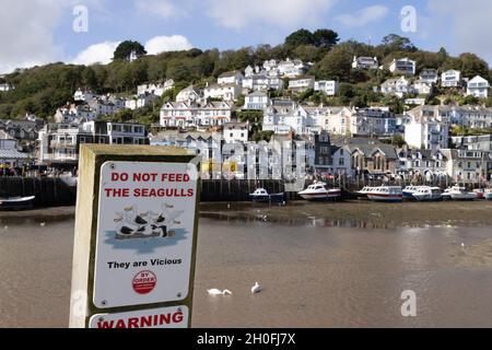 Ne nourrissez pas le panneau Seagulls, Looe, Cornwall UK Banque D'Images