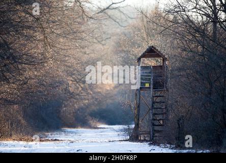 Tour de guet en bois dans la forêt en paysage d'hiver recouvert de neige Banque D'Images