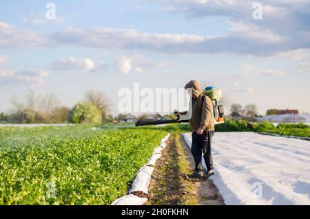 Oblast de Kherson, Ukraine - 4 mai 2021 : un agriculteur pulvérise une plantation de pommes de terre contre les ravageurs et les champignons.Protection des plantes cultivées contre les insectes et le plaisir Banque D'Images