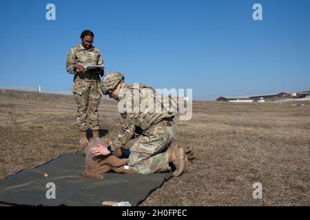 SPC de l'armée américaine.Imani Newsome, spécialiste des soins aux animaux rattaché à la 566e Medical Company (Area support), 61e Bataillon médical, basé à fort Hood, Texas, supervise une classe de soins d'urgence tactique au Camp Bondsteel, au Kosovo, le 26 février 2020.Des chiens de travail militaires et leurs maîtres-chiens sont affectés au Commandement régional-est, Force du Kosovo, pour fournir un soutien de protection de la force aux soldats et aux civils du Camp Bondsteel. Banque D'Images