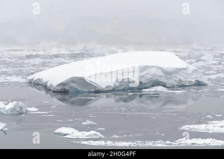 Dérive de glace et de icebergs pendant la chute de neige.Océan Austral, Antarctique Banque D'Images