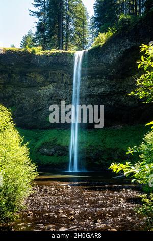 South Falls dans le parc national de Silver Falls, Oregon Banque D'Images