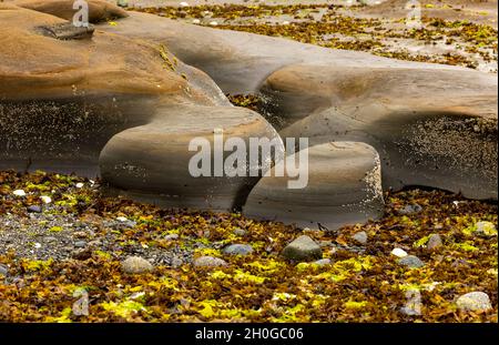 Motifs rocheux sur le rivage - Story's Beach - Port Hardy, île de Vancouver, Colombie-Britannique, Canada Banque D'Images