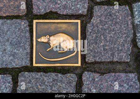 Carreaux de Rat métal parmi les pavés dans les rues de Hamelin - référence au conte de cornemuseurs à pied - Hamelin, Basse-Saxe, Allemagne Banque D'Images