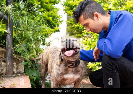 Chien très appréciant d'être pété par son propriétaire.Homme donnant l'amour à son animal de compagnie.Chien agréable et souriant. Banque D'Images
