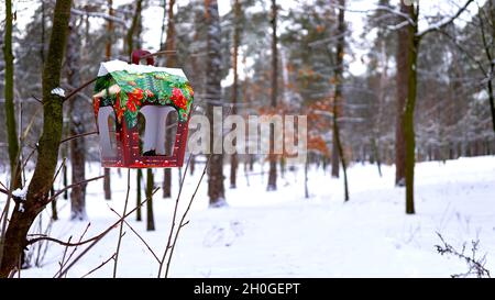 Mangeoire à oiseaux en bois dans la forêt froide d'hiver Banque D'Images