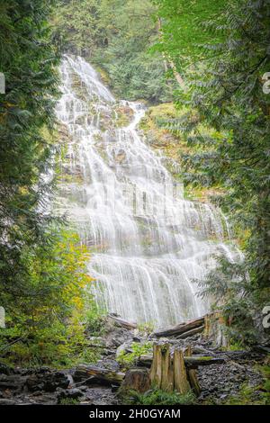 Bridal Veil Falls provincial Park près de Chilliwack, Colombie-Britannique, Canada Banque D'Images