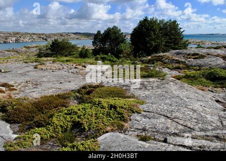 Sur l'île de l'archipel de Fjällbacka, sur la côte ouest suédoise Banque D'Images