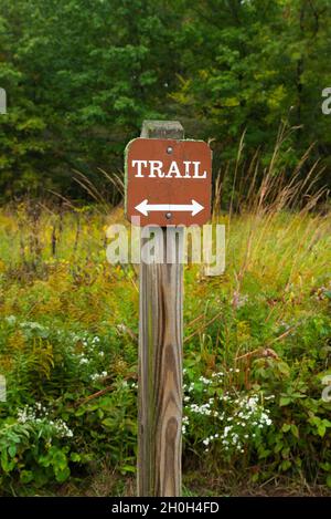 Panneau de sentier en bois avec paysage d'automne en arrière-plan.Parc national d'Indiana Dunes, Indiana, États-Unis. Banque D'Images