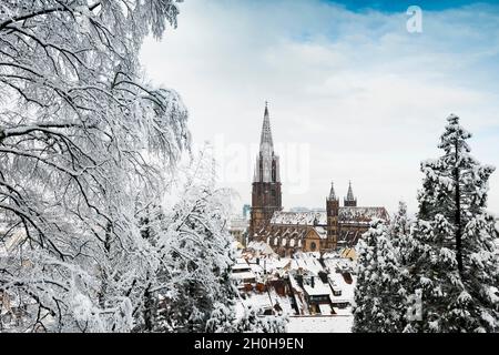Atmosphère d'hiver avec neige, Cathédrale de Fribourg, Fribourg im Breisgau, Forêt Noire, Bade-Wurtemberg,Allemagne Banque D'Images