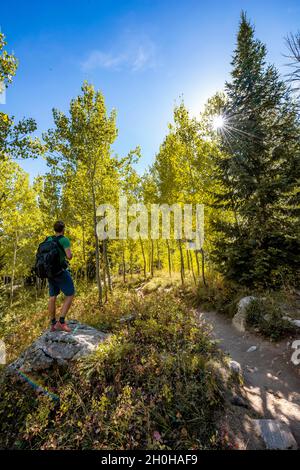 Jeune homme sur la pierre, Jenny Lake Trail, peuplier jaune d'automne avec étoile du soleil, parc national de Grand Teton, Wyoming, États-Unis Banque D'Images