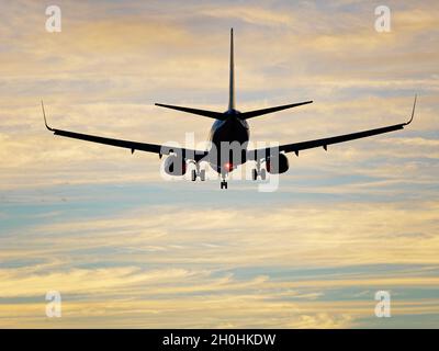 Richmond, Colombie-Britannique, Canada.7 septembre 2021.Un avion WestJet Boeing 737-700 (C-GWBN) en approche finale courte à l'aéroport international de Vancouver.(Image de crédit : © Bayne Stanley/ZUMA Press Wire) Banque D'Images