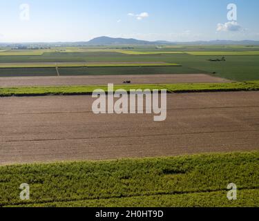 Un agriculteur avec tracteur de carting a récolté de la canne à sucre à la voie d'évitement de rail pour aller à l'usine, l'antenne d'un patchwork de paddocks Banque D'Images