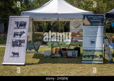 Eungella, Queensland, Australie - octobre 2021 : exposition de tentes de race bovine à une foire de campagne avec affiches et informations Banque D'Images