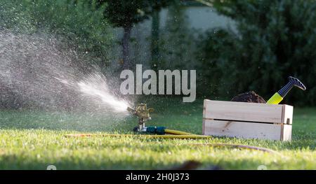 Arrosage de la pelouse dans le jardin.Projections de gouttes provenant du tuyau et du pulvérisateur de jardinage Banque D'Images