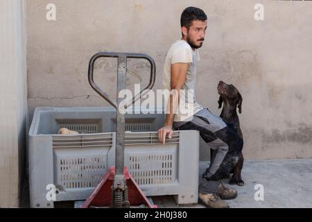 Un jeune agriculteur se reposant pendant son travail sous l'œil vigilant de son chien. Banque D'Images