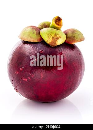 Les mangoustans Reine des fruits thaïlandais. Mangoustan fruits mûrs isolé sur fond blanc. Banque D'Images