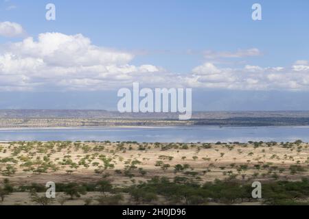 Le lac Magadi est un lac salin et alcalin d'une superficie d'environ 100 kilomètres carrés.L'eau du lac, qui est une saumure de carbonate de sodium dense, précipita Banque D'Images