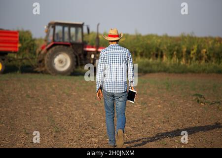 Vue arrière de l'agriculteur avec tablette et chapeau de paille devant le tracteur avec remorque dans le champ Banque D'Images